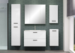Верхний шкаф в ванную Trendteam Riva, белый цена и информация | Шкафчики для ванной | kaup24.ee