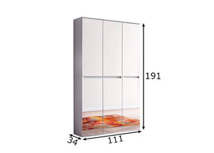 Шкаф Trendteam Mirror, 111x34x191 см, белый цена и информация | Шкафы в прихожую | kaup24.ee