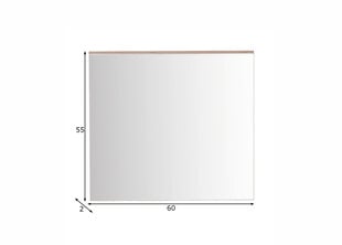 Peegel Trendteam Set-One, 60x2x55 cm, tamm hind ja info | Vannitoa peeglid | kaup24.ee