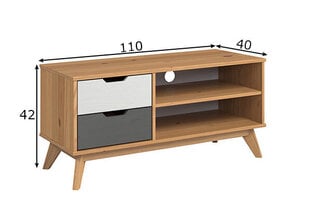 Tv-alus Trendteam Scandik, 110x40xH42 cm, meepruun / valge / hall hind ja info | TV alused | kaup24.ee