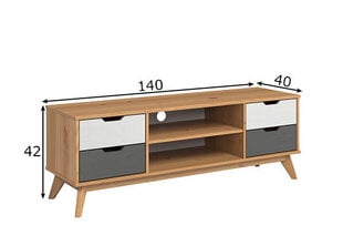 Tv-alus Trendteam Scandik, 140x40xH42 cm, meepruun / valge / hall hind ja info | TV alused | kaup24.ee