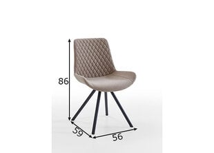 2-osaline toolide komplekt Trendteam Meran, helepruun hind ja info | Söögitoolid, baaritoolid | kaup24.ee