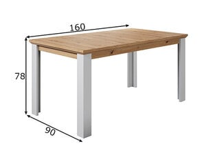 Söögilaud Trendteam Landside, helehall / tamm hind ja info | Köögi- ja söögilauad | kaup24.ee