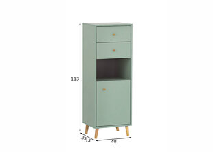 Шкаф в ванную Schildmeyer Bjarne, 40x33,5xH114 cm, зелёный цена и информация | Шкафчики для ванной | kaup24.ee