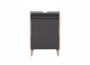 Шкаф под раковину Schildmeyer Elba, 42x33xH60 см, серый / коричневый цена и информация | Шкафчики для ванной | kaup24.ee