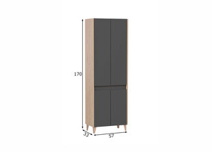 Vannitoakapp Schildmeyer Elba, 57x33xH170 cm, antratsiit / tamm hind ja info | Vannitoakapid | kaup24.ee