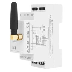 WiFi таймер ZCM-42 2XNO/NC 16A цена и информация | Выключатели, розетки | kaup24.ee