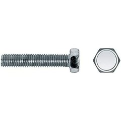 Kruvide karp CELO 5 x 20 mm M5 x 20 mm Meeterkeere 250 Ühikut Tsingitud hind ja info | Käsitööriistad | kaup24.ee