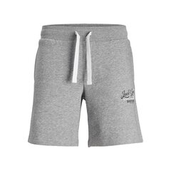 Спортивные мужские шорты Jack & Jones JPSTANDY SWEAT 12225087 Серый цена и информация | Мужская спортивная одежда | kaup24.ee