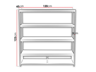 Raamaturiiul TANGO 120-czarny / dąb lity hind ja info | Riiulid | kaup24.ee