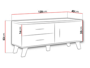Telekalaud SANNA 120 1D2S-wotan / вотан + черный цена и информация | Тумбы под телевизор | kaup24.ee