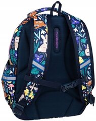 Mitme kambriga kooliseljakott CoolPack Multicolored, 21 l hind ja info | Koolikotid, sussikotid | kaup24.ee