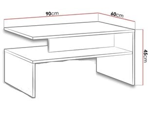 Kohvilaud GOEL-biały (valge) hind ja info | Diivanilauad | kaup24.ee