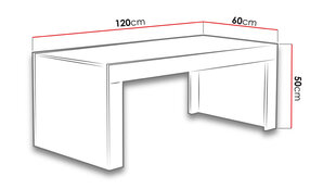 Диван-стол MESS-biały / czarny połysk цена и информация | Журнальные столики | kaup24.ee
