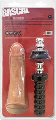 Dildo Boneyard Rascal Toys Jocks Adam hind ja info | Dildod | kaup24.ee