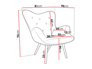 Кресло COPSE-Kronos 22 цена и информация | Кресла в гостиную | kaup24.ee