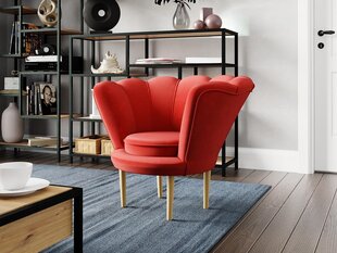 Кресло GRAYSON-Magic Velvet 2232 цена и информация | Кресла в гостиную | kaup24.ee