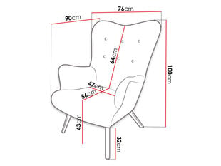 Кресло AKCJUSZ-Magic Velvet 2202 цена и информация | Кресла в гостиную | kaup24.ee