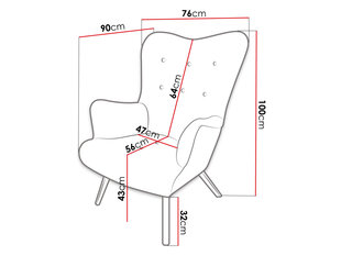 Кресло AKCJUSZ-Magic Velvet 2217 цена и информация | Кресла в гостиную | kaup24.ee