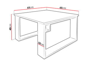 Kohvilaud LITORION-czarny mat + craft złoty hind ja info | Diivanilauad | kaup24.ee