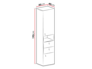 Капп LEGIMI LG04 L / P-czarny / dąb + beż цена и информация | Шкафчики в гостиную | kaup24.ee