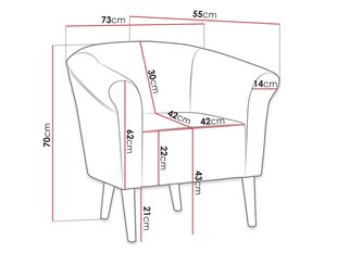 Кресло ALEJANDRO 1-Manila 35 цена и информация | Кресла в гостиную | kaup24.ee
