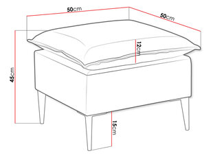 Тумба BOB-Terra 5 злотых цена и информация | Кресла-мешки и пуфы | kaup24.ee