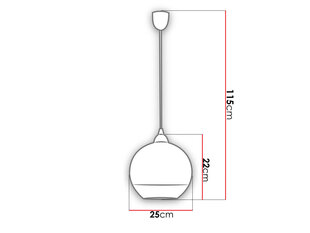 Laelamp Globe M 4953-hõbedane hind ja info | Rippvalgustid | kaup24.ee