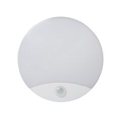 Plafond LED SANSO 15W NW SE koos liikumisanduriga hind ja info | Laelambid | kaup24.ee