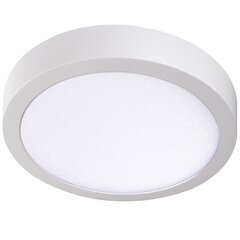 Plafond LED CARSA V2LED 24W 4000K valge hind ja info | Süvistatavad ja LED valgustid | kaup24.ee