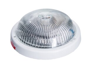 LUMIXA PLAFOND ALFA E-27 IP44 VALGE LÄBIPAISTEV hind ja info | Laelambid | kaup24.ee