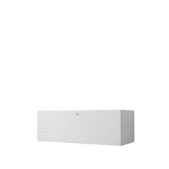 Telekalalaud TOWIRO SLIM II 100-biały (valge) цена и информация | Тумбы под телевизор | kaup24.ee