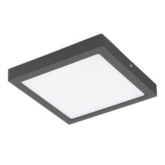 LAELAMP ARGOLIS LED ANTHRACITE IP44 96495 hind ja info | Laelambid | kaup24.ee