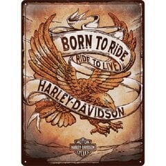 Металлическая тарелка 30х40см/ Nostalgic Art/Harley Davidson - Born to Ride Eagle цена и информация | Детали интерьера | kaup24.ee