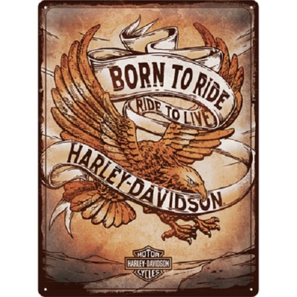 Metallplaat 30x40cm / Nostalgic Art/Harley Davidson - Born to Ride Eagle hind ja info | Sisustuselemendid | kaup24.ee