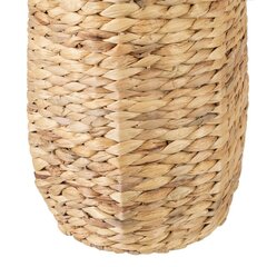 Vaas 19 x 19 x 61 cm Naturaalne Looduslik kiud hind ja info | Vaasid | kaup24.ee