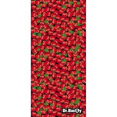 Antibakteriaalne kiiresti kuivav rätik, Dr.Bacty 60x130, Ultrafiiber - Cherry - цена и информация | Полотенца | kaup24.ee