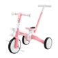 HyperMotion kolmerattaline, roosa цена и информация | Kolmerattalised jalgrattad | kaup24.ee