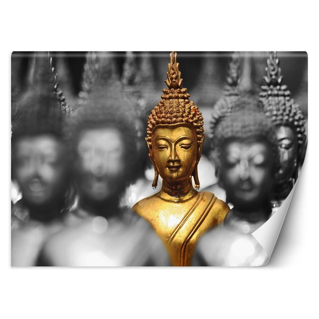 Fototapeet Kuldne Buddha цена и информация | Fototapeedid | kaup24.ee