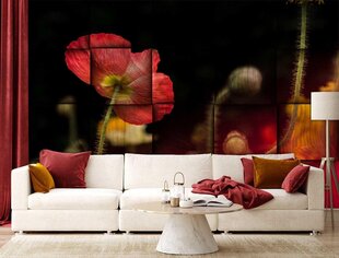 Фотообои Red Poppies 183x254 см цена и информация | Фотообои | kaup24.ee