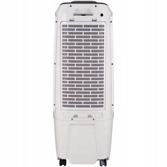 Honeywell ventrillaator 40 W hind ja info | Ventilaatorid | kaup24.ee