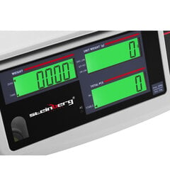 LCD kaubanduslik kaal 30,5 x 22 cm 30 kg / 1 g цена и информация | Промышленные весы | kaup24.ee