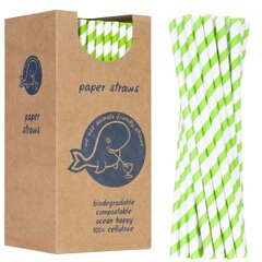 BIO ökoloogilised paberikõrred PAPER STRWS paks 8/205mm - valge ja roheline 160tk. 10098961 цена и информация | Столовые и кухонные приборы | kaup24.ee