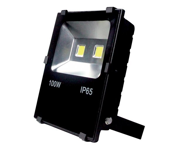 led floodlight vega100 100w 5000-5500k must hind ja info | Süvistatavad ja LED valgustid | kaup24.ee