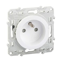 Pistiku tihvt Schneider Electric Plastmass 16 W (Renoveeritud A) hind ja info | Lülitid ja pistikupesad | kaup24.ee