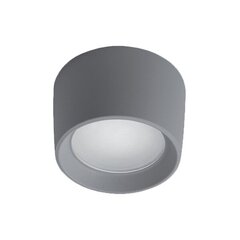 livia 160 led laevalgusti 10w cct 4000k ip55 hall hind ja info | Süvistatavad ja LED valgustid | kaup24.ee