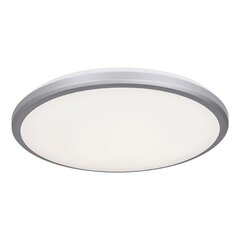 el-4015 led laevalgusti 36w 4000k ip54 hall hind ja info | Süvistatavad ja LED valgustid | kaup24.ee