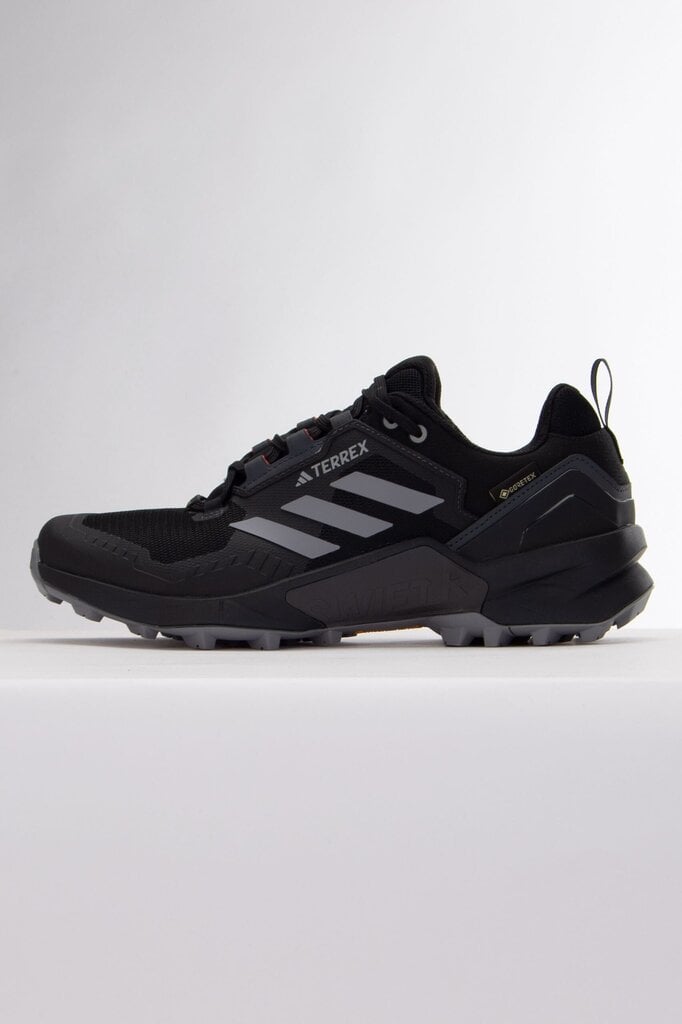 ADIDAS TERREX SWIFT R3 GTX Meeste jalanõud, suurus 46 HR1310_46 hind ja info | Meeste kingad, saapad | kaup24.ee