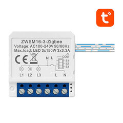 Модуль интеллектуального коммутатора ZigBee ZWSM16-W3 TUYA Avatto цена и информация | Выключатели, розетки | kaup24.ee