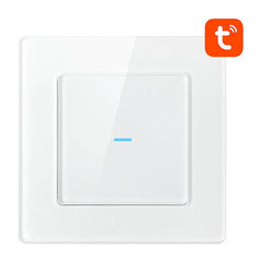 Умный выключатель света WiFi N-TS10-W1 1-сторонний TUYA (белый) Avatto цена и информация | Выключатели, розетки | kaup24.ee